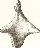 An illustration from Ilios; the city and country of the Trojans. The results of researches and discoveries on the site of Troy and throughout the Troad in the years 1871-72-73-78-79, including an autobiography of the author (1880)