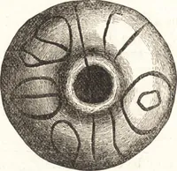 An illustration from Ilios; the city and country of the Trojans. The results of researches and discoveries on the site of Troy and throughout the Troad in the years 1871-72-73-78-79, including an autobiography of the author (1880)