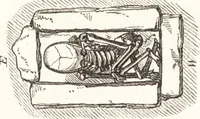 An illustration from Ilios; the city and country of the Trojans. The results of researches and discoveries on the site of Troy and throughout the Troad in the years 1871-72-73-78-79, including an autobiography of the author (1880)