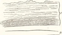 An illustration from Ilios; the city and country of the Trojans. The results of researches and discoveries on the site of Troy and throughout the Troad in the years 1871-72-73-78-79, including an autobiography of the author (1880)