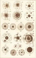 An illustration from Ilios; the city and country of the Trojans. The results of researches and discoveries on the site of Troy and throughout the Troad in the years 1871-72-73-78-79, including an autobiography of the author (1880)