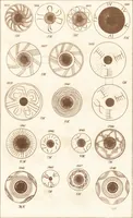 An illustration from Ilios; the city and country of the Trojans. The results of researches and discoveries on the site of Troy and throughout the Troad in the years 1871-72-73-78-79, including an autobiography of the author (1880)