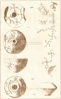An illustration from Ilios; the city and country of the Trojans. The results of researches and discoveries on the site of Troy and throughout the Troad in the years 1871-72-73-78-79, including an autobiography of the author (1880)