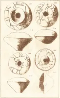An illustration from Ilios; the city and country of the Trojans. The results of researches and discoveries on the site of Troy and throughout the Troad in the years 1871-72-73-78-79, including an autobiography of the author (1880)