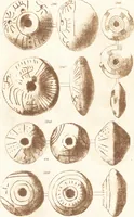 An illustration from Ilios; the city and country of the Trojans. The results of researches and discoveries on the site of Troy and throughout the Troad in the years 1871-72-73-78-79, including an autobiography of the author (1880)