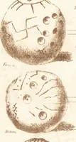 An illustration from Ilios; the city and country of the Trojans. The results of researches and discoveries on the site of Troy and throughout the Troad in the years 1871-72-73-78-79, including an autobiography of the author (1880)