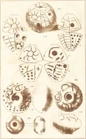 An illustration from Ilios; the city and country of the Trojans. The results of researches and discoveries on the site of Troy and throughout the Troad in the years 1871-72-73-78-79, including an autobiography of the author (1880)