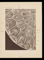 Picture 4 of 7 from Der Burgundische Paramentenschatz des Ordens von Goldenen Vliesse : im Auftrage des hohen Oberstkämmereramtes Sr. K. und K. apost. Majestät (1912), leaf 58