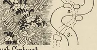 Picture 9 of 11 from A text book dealing with ornamental design for woven fabrics (1900), leaf 162