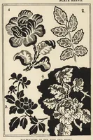 Picture 10 of 11 from A text book dealing with ornamental design for woven fabrics (1900), leaf 182