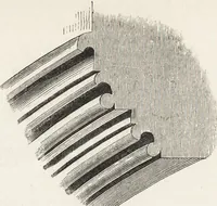An illustration from An introduction to the study of Gothic architecture (1861)