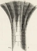 An illustration from An introduction to the study of Gothic architecture (1861)
