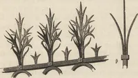 An illustration from Brick and marble in the middle ages: notes of a tour in the north of Italy (1855)