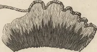 An illustration from Church embroidery, ancient and modern (1867)