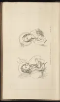 An illustration from Handbook of painting. The German, Flemish, and Dutch schools (1860)