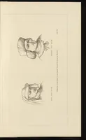 Picture 8 of 16 from The early Flemish painters; notices of their lives and works (1872), leaf 126