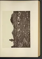An illustration from Notes on Irish architecture (1875)