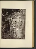 An illustration from Notes on Irish architecture (1875)