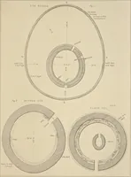 An illustration from Notes on Irish architecture (1875)