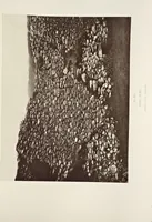 An illustration from Notes on Irish architecture (1875)