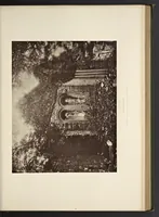 Picture 102 of 135 from Notes on Irish architecture (1875), leaf 262