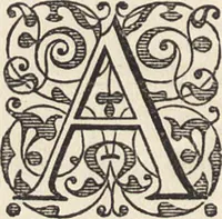 An illustration from Italian sculpture of the Middle Ages and period of the revival of art : a descriptive catalogue of the works forming the above section of the Museum, with additional illustrative notices (1862)