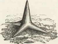Picture 55 of 377 from Military and religious life in the Middle Ages and at the period of the Renaissance (1870), leaf 109