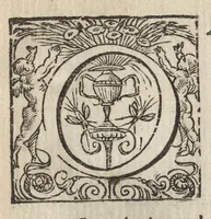 An illustration from Christophori Scheiner, e Societate Iesu Germano-Sueui, Pantographice, seu, Ars delineandi res quaslibet per parallelogrammum lineare seu cauum, mechanicum, mobile : libellis duobus explicata & demonstrationibus geometricis illustrata, quorum prior epipedographicen, siue planorum, posterior stereographicen, seu solidorum aspectabilium viuam imitationem atque proiectionem edocet (1631)
