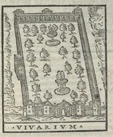Picture 49 of 59 from Bartholomaei Marliani Vrbis Romae topographia; accvrate', tvm ex vetervm, tum etiam recentiorum fontibus hausta, (1588), leaf 316