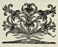 Picture 12 of 43 from I Cesari in oro, raccolti nel Farnese Museo e pubblicati colle loro congrue interpretazioni : tomo primo[-decimo] (1694), leaf 166
