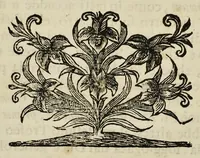 Picture 5 of 27 from I Cesari in oro, raccolti nel Farnese Museo e pubblicati colle loro congrue interpretazioni : tomo primo[-decimo] (1694), leaf 101