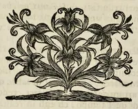 Picture 19 of 27 from I Cesari in oro, raccolti nel Farnese Museo e pubblicati colle loro congrue interpretazioni : tomo primo[-decimo] (1694), leaf 415