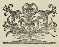 Picture 3 of 48 from I Cesari in oro, raccolti nel Farnese Museo e pubblicati colle loro congrue interpretazioni : tomo primo[-decimo] (1694), leaf 19