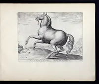 Picture 12 of 25 from Eqvile, sev, Specvlvm eqvorvm : in quo omnis generis generosissimorum equorum ex varijs orbis partibus insignis delectus (1600), leaf 46