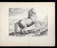 Picture 2 of 25 from Eqvile, sev, Specvlvm eqvorvm : in quo omnis generis generosissimorum equorum ex varijs orbis partibus insignis delectus (1600), leaf 8