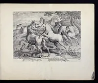 Picture 25 of 25 from Eqvile, sev, Specvlvm eqvorvm : in quo omnis generis generosissimorum equorum ex varijs orbis partibus insignis delectus (1600), leaf 82