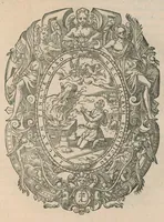 Picture 10 of 27 from Le caualerice françois (1610), leaf 368