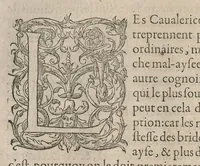 An illustration from Le caualerice françois (1610)