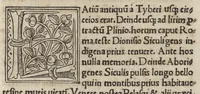 An illustration from De Roma prisca et nova varii auctores prout in sequenti pagella cernere est (1523)