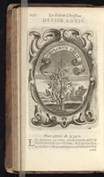 An illustration from Le prince chrestien et politique (1670)