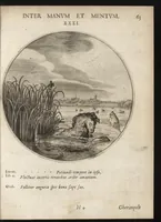 An illustration from Iacobi Catzii I.C. Silenus Alcibiadis, sive Proteus, humanae vitae ideam, emblemate trifariam variato, oculis subjiciens. Iconibus artificiosé in aes incisis, ac trium linguarum explicatione eleganter elustratus (1619)