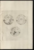 Picture 9 of 14 from Ludovici Magni Galliarvm et Navarræ regis, invicti, triumphantis, et pacifici : elvcvbratio anagrammatica-historica : symbolis illustrata (1679), leaf 60