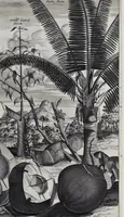 Picture 9 of 29 from Johan Nieuhofs Gedenkweerdige Brasiliaense zee- en lantreize : behelzende alhetgeen op dezelve is voorgevallen : beneffens een bondige beschrijving van gantsch Neerlants Brasil, zoo van lantschappen, steden, dieren, gewassen, als draghten, zeden en godsdienst der inwoonders : en inzonderheit ein wijtloopig verhael der merkwaardigste voorvallen en geschiedenissen, die zich, geduurende zijn negenjarigh verblijf in Brasil, in d'oorlogen en opstant der Portugesen tegen d'onzen, zich sedert het jaer 1640 tot 1649 hebben toegedragen : doorgaens verciert met verscheide afbeeldingen na 't leven aldaer getekent (1682), leaf 486