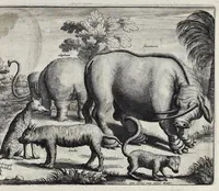 Picture 28 of 29 from Johan Nieuhofs Gedenkweerdige Brasiliaense zee- en lantreize : behelzende alhetgeen op dezelve is voorgevallen : beneffens een bondige beschrijving van gantsch Neerlants Brasil, zoo van lantschappen, steden, dieren, gewassen, als draghten, zeden en godsdienst der inwoonders : en inzonderheit ein wijtloopig verhael der merkwaardigste voorvallen en geschiedenissen, die zich, geduurende zijn negenjarigh verblijf in Brasil, in d'oorlogen en opstant der Portugesen tegen d'onzen, zich sedert het jaer 1640 tot 1649 hebben toegedragen : doorgaens verciert met verscheide afbeeldingen na 't leven aldaer getekent (1682), leaf 716