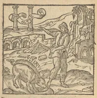 Picture 15 of 47 from Emblemata Andreæ Alciati I. C. clariss. Latinogallica : vnà cum succinctis argumentis, quibus emblematis cuiúsque sententia explicatur, ad calcem Alciati vita = Les emblemes Latin-Francois dv Seigneur Andre Alciat, excellent iurisconsulte, avec argumens succincts pour entendre le sens de chasque embleme, en fin est la vie d'Alcist : la version Françoise non encor veuë cy deuant (1584), leaf 157
