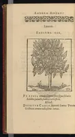 An illustration from Emblemata Andreæ Alciati I. C. clariss. Latinogallica : vnà cum succinctis argumentis, quibus emblematis cuiúsque sententia explicatur, ad calcem Alciati vita = Les emblemes Latin-Francois dv Seigneur Andre Alciat, excellent iurisconsulte, avec argumens succincts pour entendre le sens de chasque embleme, en fin est la vie d'Alcist : la version Françoise non encor veuë cy deuant (1584)