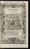 Picture 11 of 14 from Emblemes d'Alciat : de nouueau trãslatez en frãçois, vers pour vers iouxte les latins : ordonnez en lieux cõmuns, auec briefues expositions & figures nouuelles appropriées aux derniers emblemes (1549), leaf 222