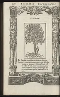 An illustration from Emblemes d'Alciat : de nouueau trãslatez en frãçois, vers pour vers iouxte les latins : ordonnez en lieux cõmuns, auec briefues expositions & figures nouuelles appropriées aux derniers emblemes (1549)