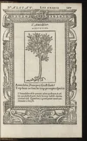 An illustration from Emblemes d'Alciat : de nouueau trãslatez en frãçois, vers pour vers iouxte les latins : ordonnez en lieux cõmuns, auec briefues expositions & figures nouuelles appropriées aux derniers emblemes (1549)