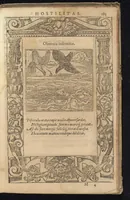 An illustration from D. And. Alciati Emblemata; denvo ab ipso autore recognita, ac quae desiderabantur, imaginibus locupletata; accesserunt noua aliquot ab autore emblemata suis quoq[ue] eiconibus insignita (1566)